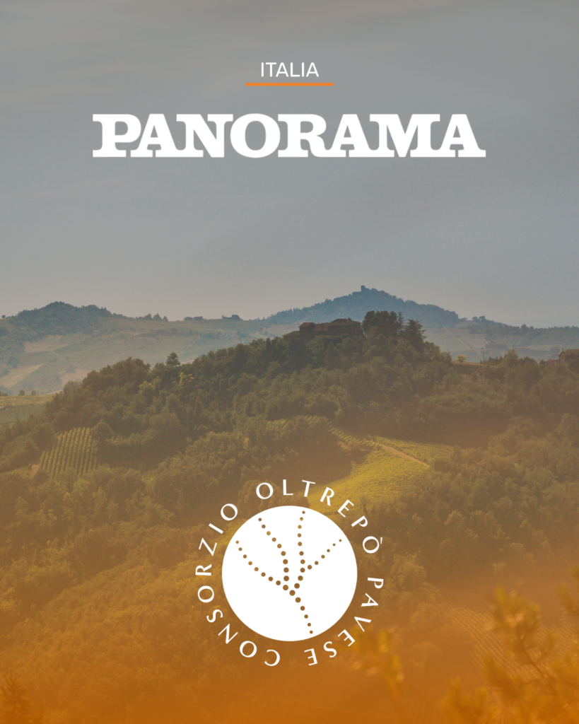 Panorama - Consorzio Oltrepò Pavese
