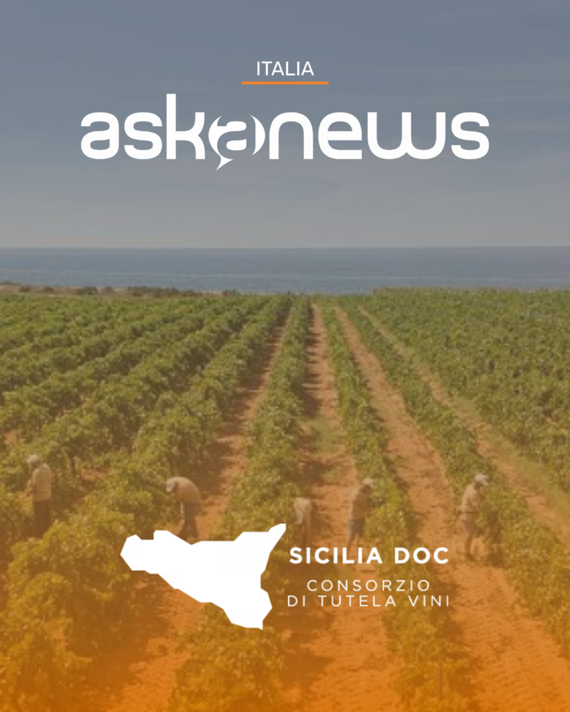 Askanews - Consorzio di Tutela Vini Doc Sicilia